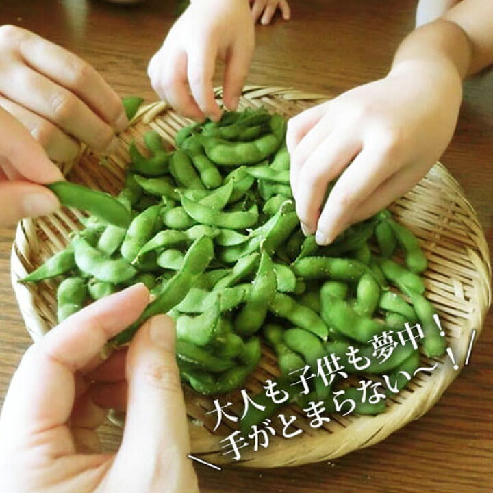 930円 セットアップ だだちゃ豆 枝豆 白山 村産 早生豆 400g 2袋 山形 鶴岡 清川屋 ブランド ダダチャ豆 茶豆 だだちゃまめ だだ茶豆 930円 セットアップ だだちゃ豆 枝豆 白山 村産 早生豆 400g 2袋 山形 鶴岡 清川屋 ブランド ダダチャ豆 茶豆 だだちゃまめ だだ茶豆