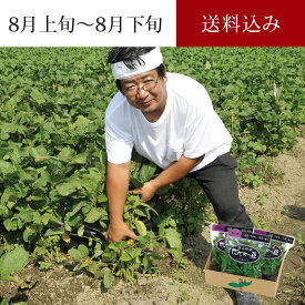 甚兵衛 白山だだちゃ豆 300g×3袋 8月上旬～8月下旬お届け ( 手植えにこだわる7代目の枝豆 清川屋のダダチャ豆 茶豆 発祥の地のブランド 枝豆 )