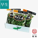 鶴岡 だだちゃ豆 300g×3袋 ＜早生豆＞ 8月上旬〜中旬お届け ( 朝採り枝豆を産地直送 清川屋のダダチャ豆 茶豆 枝豆 特選 鶴岡だだちゃ豆 )