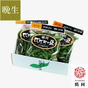尾浦 だだちゃ豆 300g×3袋 9月上旬〜中旬お届け ( 大ぶりで強い甘み 「なごり」の枝豆 おうら 晩生 晩生だだちゃ豆 清川屋のダダチャ豆 茶豆 枝豆 )