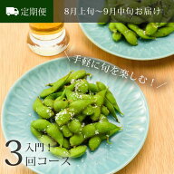 〈定期便〉入門3回コース 鶴岡産早生・鶴岡産本豆・尾浦だだちゃ豆 各300g×3袋 ( 一度食べたら忘れられ…