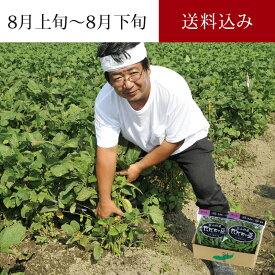 甚兵衛 白山だだちゃ豆 300g×2袋 8月上旬～8月下旬お届け ( 手植えにこだわる7代目の枝豆 清川屋のダダチャ豆 茶豆 発祥の地のブランド 枝豆 )