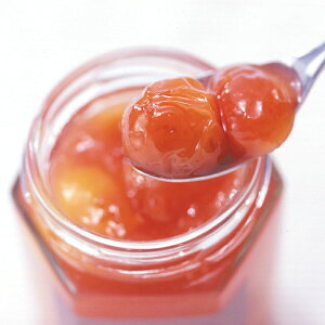 R`t[cW  ( ڃW ʎW Mtg v[g ݂₰ n )