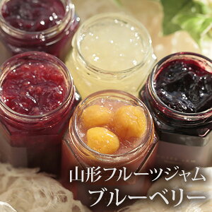 R`t[cW u[x[ ( u[x[W ʎW Mtg v[g ݂₰ n )