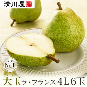  EtX 4L 6ʁi2.4kgj 11{`12{͂ ( R` t[c Y 쉮̃tX Ε ~Mtg m  蕨 )