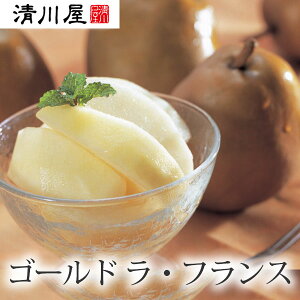 S[h EtX L`2L 8`10ʁi2.5kgj 11{`11{͂ ( R` 쉮̃tX {̃t[cMtg 蕨 Yn Ε ~Mtg )