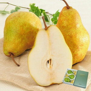 Vo[x m 3`4ʁi2kgj12{`12{͂ ( R`Y Yn t[c m  ʕ Mtg  Ε 蕨 )