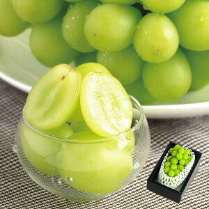 XnVC}XJbg Ԃǂ 1[i600gj 11{`12{͂ ( R`Y Ԃǂ lC̎ȂuhE Mtg  蕨 Ε t[c Â~J^Of )