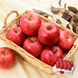 N͂ aI ӂ 14`20 (5kg) 1{`1{͂ ( R`Y Yn  aY 쉮 Ε Mtg  蕨 t[c Â~J^