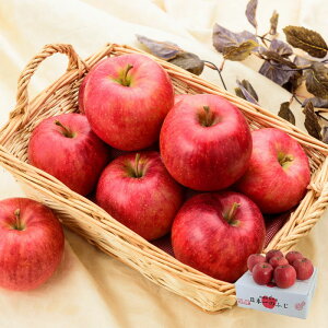 N͂ aI ӂ 8`9 (2.5kg) 1{`1{͂ ( R`Y Yn  aY 쉮 Ε Mtg  蕨 t[c Â~J^