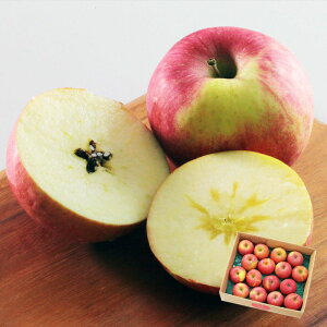 ݂̂܂̖󂠂ӂ񂲁i5kgj 12{`{͂ ( R`Y Yn  t[c ƒp )