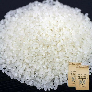 _ P 10kgi5kg×2j ( ߘa7Nx R`Y ʍ͔|     )