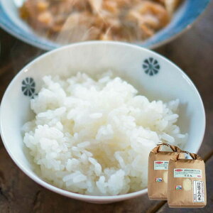 `̏  10kg ( ߘa7Nx R`Y ʍ͔|     )