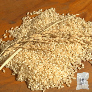 oĤ  1 ( Y Y R`Y ł̂ 100  Iׂ ۖ p ؂ Y  Y GςɂI _炩ŐHׂ₷    ` 쉮 Ε 