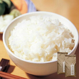 井上農場 の はえぬき 10kg（5kg×2）( 令和7年度 山形県産 特別栽培米 庄内米 精米 お米 白米 )