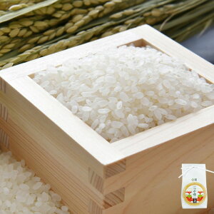 z P 1kg ( ߘa7Nx R`Y ʍ͔|     )