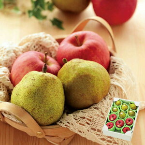 ~̃t[cZbg `EtX  ӂ񂲁` yz e5`6 11{`12{͂ ( R`Y tX m S ь ʕ { t[c lߍ킹 Mtg v[g 