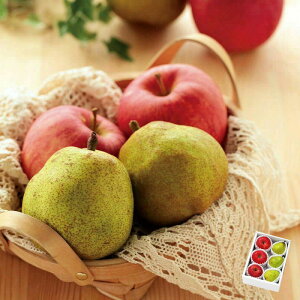 ~̃t[cZbg `EtX  ӂ񂲁` yze3 11{`12{͂ ( R`Y tX m S ь ʕ { t[c lߍ킹 Mtg v[g  