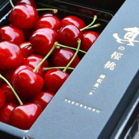 楽天市場 初夏 フルーツの通販 楽天市場 初夏 フルーツの通販