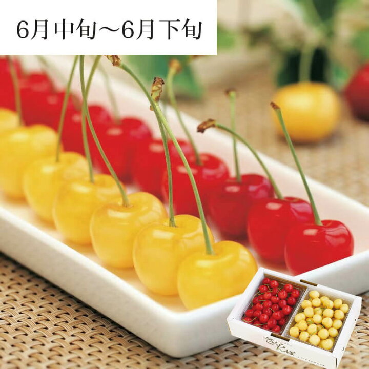 楽天市場】さくらんぼ 月山錦 2L ＆ 佐藤錦 L バラ詰め 各500g セット 