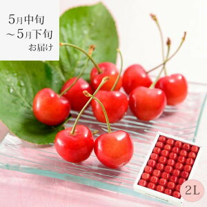 ���������� ������ �������� �E�l�l�� 2L 300g 5�����{�`5�����{���͂� ( ���쉮�̃T�N�����{ �R�` �Y�n���� ���������� �n�E�X�͔| �������� ���� ��l�� �v���[���g �M�t�g )