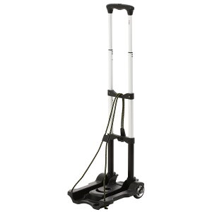 RpNgȐ܂肽ݎ ABS+A~L[J[g ubN@2ց@ω׏d40kg@ 