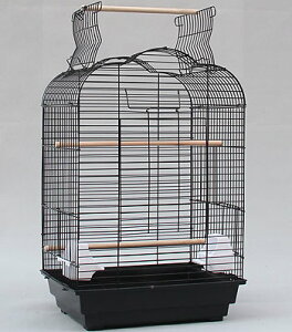 yIׂJ[z^ CRp/VI[vy JS  Q[W P[W o[hQ[W ZLZCCR IEz