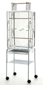 pX^ht ʃNA^Cv ԑ ^yCR  o[hQ[W  JS IE z