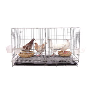 p  o[hP[W  JS Q[W P[W o[hQ[W cC