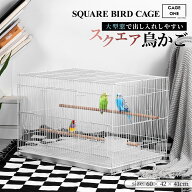 【CAGEONE】【レビュー特典あり】大型 鳥かご スクエアタイプ バードケージ 大きいケージ 鳥かご 鳥小屋 …