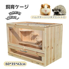 ペットケージ 小動物用ケージ 家庭用 大型 飼育ケージ モルモット ハムスター ゲージ ハリネズミ ハリネズミ となりのトトロ リス 組立式 天然杉材 防腐材 60*35*42cm ご自分で取り付ける必要がある 小屋 キャットケージ 室内 小型ケージ 屋