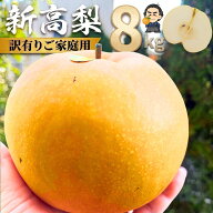 新高梨 送料無料 高知県産 梨 約8kg訳ありご家庭用 沖縄と北海道、全国の離島は発送不可　