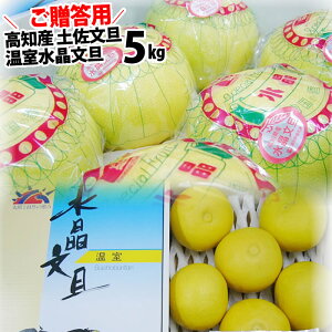 LINEo^100~Ityzp U5kg6`9ʓu^mYԂ񂽂 MtgpϔꌧƖkC͕ʓrAS̗͔zsł