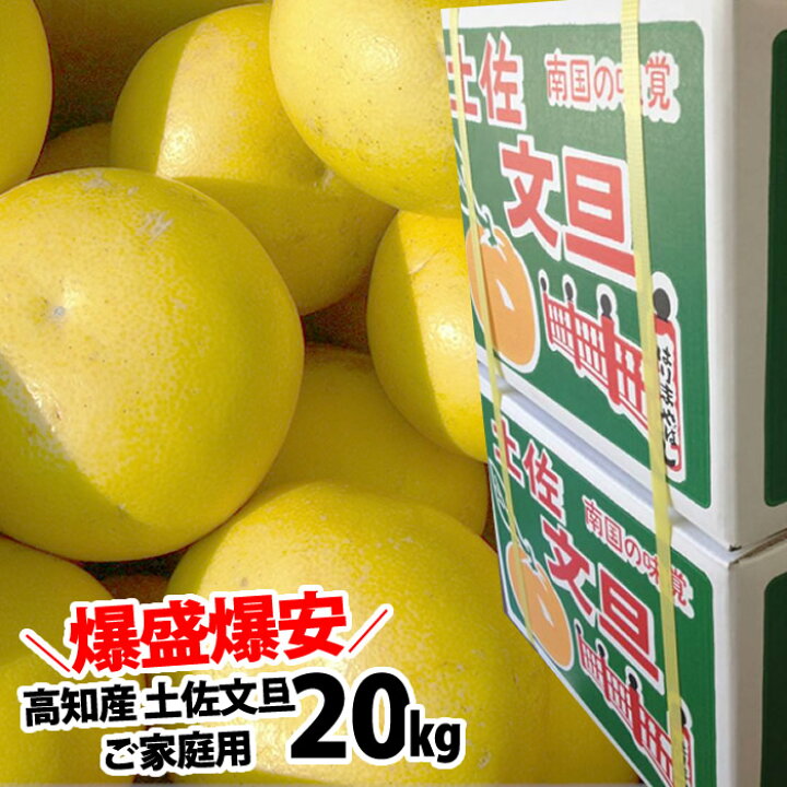 楽天市場】爆盛爆安20kg L2Lサイズ 土佐文旦☆送料無料 高知産 