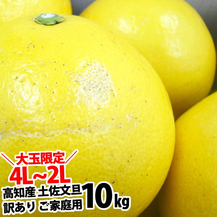 楽天市場】大玉4L〜3Lサイズ約10kg文旦！☆【送料無料】 高知 
