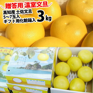 p U 3kg 5`7ʓMtgpϔnEXU mY pԂ񂽂񂨍ΕɍœK{yƖkC͕ʓr S̗͔s