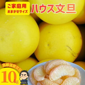 yznEXU10LTCYCƒpIU@ňlɒIu^ mY Ԃ񂽂񉫓{yƖkC͕ʓr S̗͔s