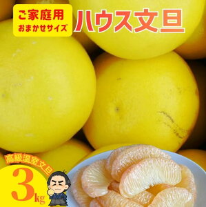 yznEXU3L@TCYCƒpIU@ňlɒIu^ mY Ԃ񂽂 {yƖkC͕ʓr S̗͔s