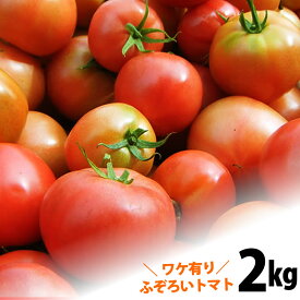 【送料無料】 土佐の高知のトマト 新鮮不ぞろいトマト君たっぷり約2kg！ とまと