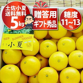 【送料無料】小夏：約5k★ギフト用秀品日向夏・ニューサマーオレンジ！高知産4月下旬頃より発送予定沖縄本土と北海道は別途送料全国の離島は発送不可