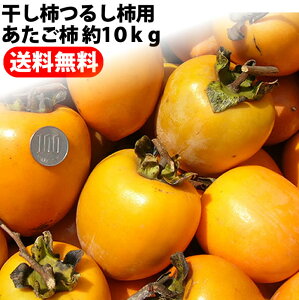 ` 10kgQ }ta` `p 11㒆{蔭{yƖkC͕ʓr S̗͔sIR`I