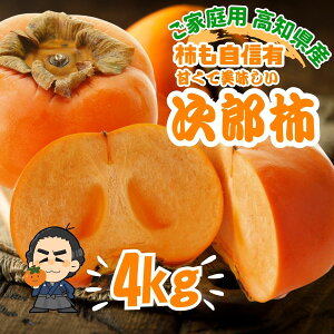 LINEo^100~ItY` 4kgÊ` ƒp mY  ẙÂ10蔭\ {yƉkC͕ʓrS̗͔s