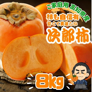 Y` 8kg Ê` ƒp mY  ẙÂ10蔭\ {yƖkC͕ʓr S̗͔s