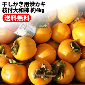 LINEo^100~Ita` a` 4kg }t mY `E邵`E ۊ`E炵`ppaJL{yƖkC͕ʓr S̗͔s