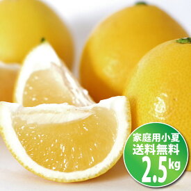 美味しい小夏★【送料無料】ご家庭用♪初夏の香り！高知産：土佐小夏：約2.5kg♪日向夏・ニューサマーオレンジ4月下旬頃より発送予定沖縄本土と北海道は別途送料全国の離島は発送不可