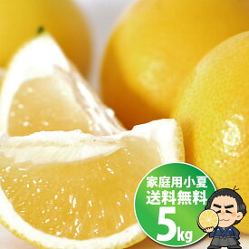 小夏★【送料無料】ご家庭用高知産 土佐小夏 約5キロ日向夏 ニューサマーオレンジ沖縄本土と北海道は別途送料 全国の離島は発送不可