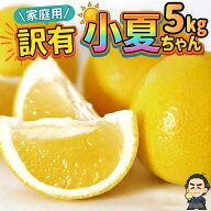【100円クーポン有】【送料無料】土佐小夏 5kg 高知県産 家庭用 訳あり 小夏 ニューサマーオレンジ 日向…