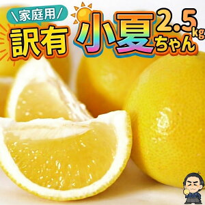 �y100�~�N�[�|���L�z�y���������z�y������ 2.5kg ���m���Y �ƒ�p �󂠂� ���� ���Ȃ� �j���[�T�}�[�I�����W ������ 2.5�L�� �Y�n���� �{ �t���[�c �ʕ� ���k�݂���Y�����n���� �������� ����