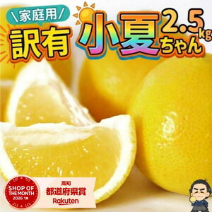 �y100�~�N�[�|���L�z�y���������z�y������ 2.5kg ���m���Y �ƒ�p �󂠂� ���� ���Ȃ� �j���[�T�}�[�I�����W ������ 2.5�L�� �Y�n���� ������ �{ �t���[�c �ʕ� ���k�݂���Y�����n���� ������