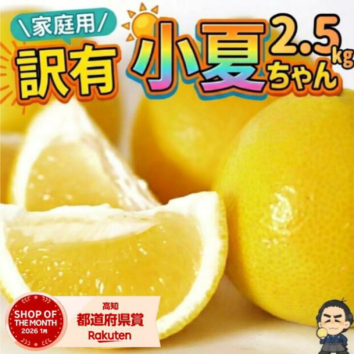 楽天市場】【100円クーポン有】【送料無料】土佐小夏 2.5kg 高知県産 